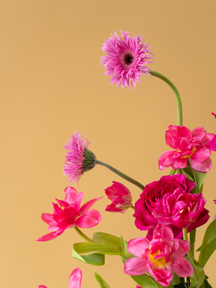 Vancouver Florist - Vancouver Flower Delivery - Valentine's Flowers, Pink flowers with green stems on a beige background