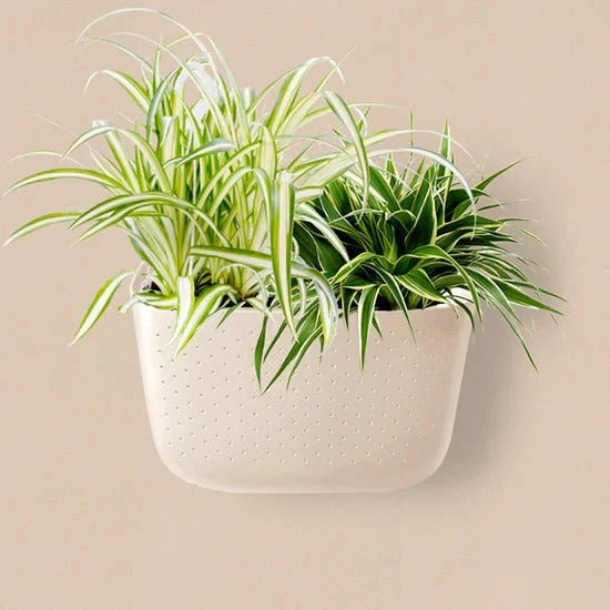 WallyGrow Eco Wall Planters