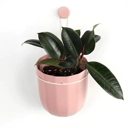WallyGrow Loop Planters
