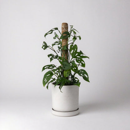 KANSO Coco Coir Poles