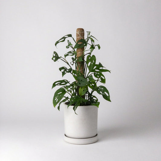 KANSO Coco Coir Poles