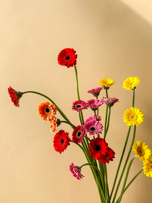 Piccolini Bunches - Vancouver Flower Delivery