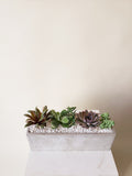 Succulent Rectangular Planter - 5