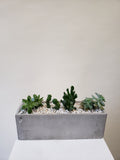 Succulent Rectangular Planter - 4