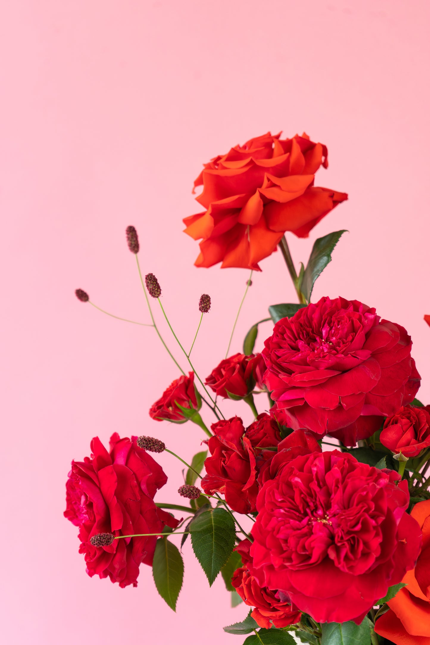 Vancouver Florist - Valentine's Hug 
Arrangement