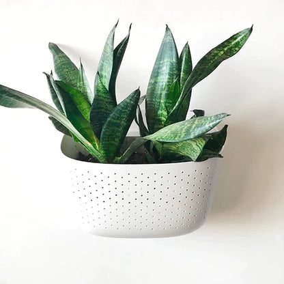 WallyGrow Eco Wall Planters