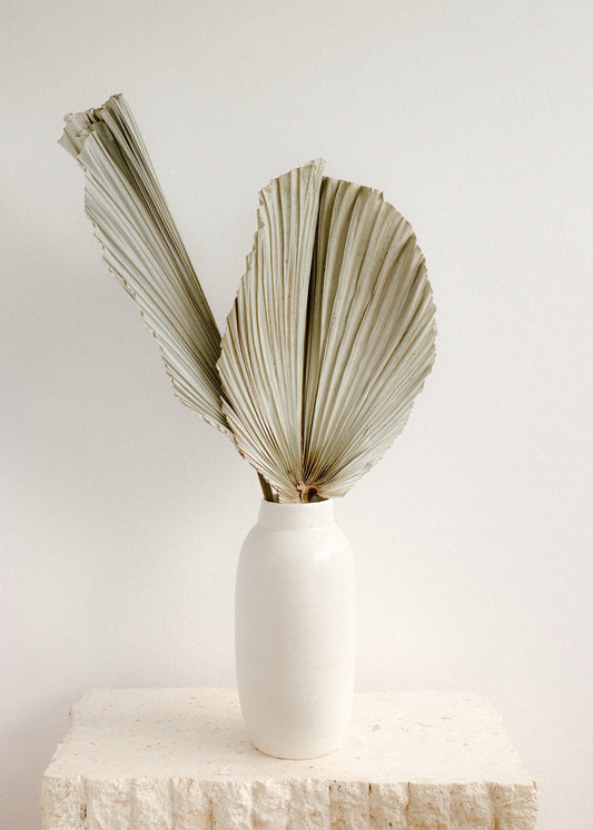 Large Natural Fan Palm