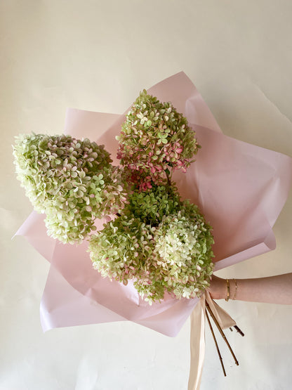 Dried Limelight Hydrangea Bunch